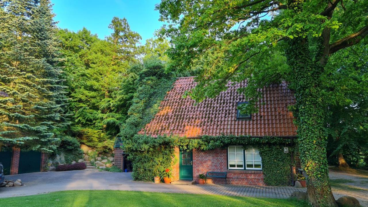 4 Sterne-Haus Am See Waren  Extérieur photo